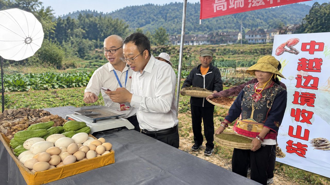 千弘科技在文山田间地头开展的「中越边境收山货」助农直播现场——工作人员现场称重并在手机上向观众推介山货，村民携自采农产品参与